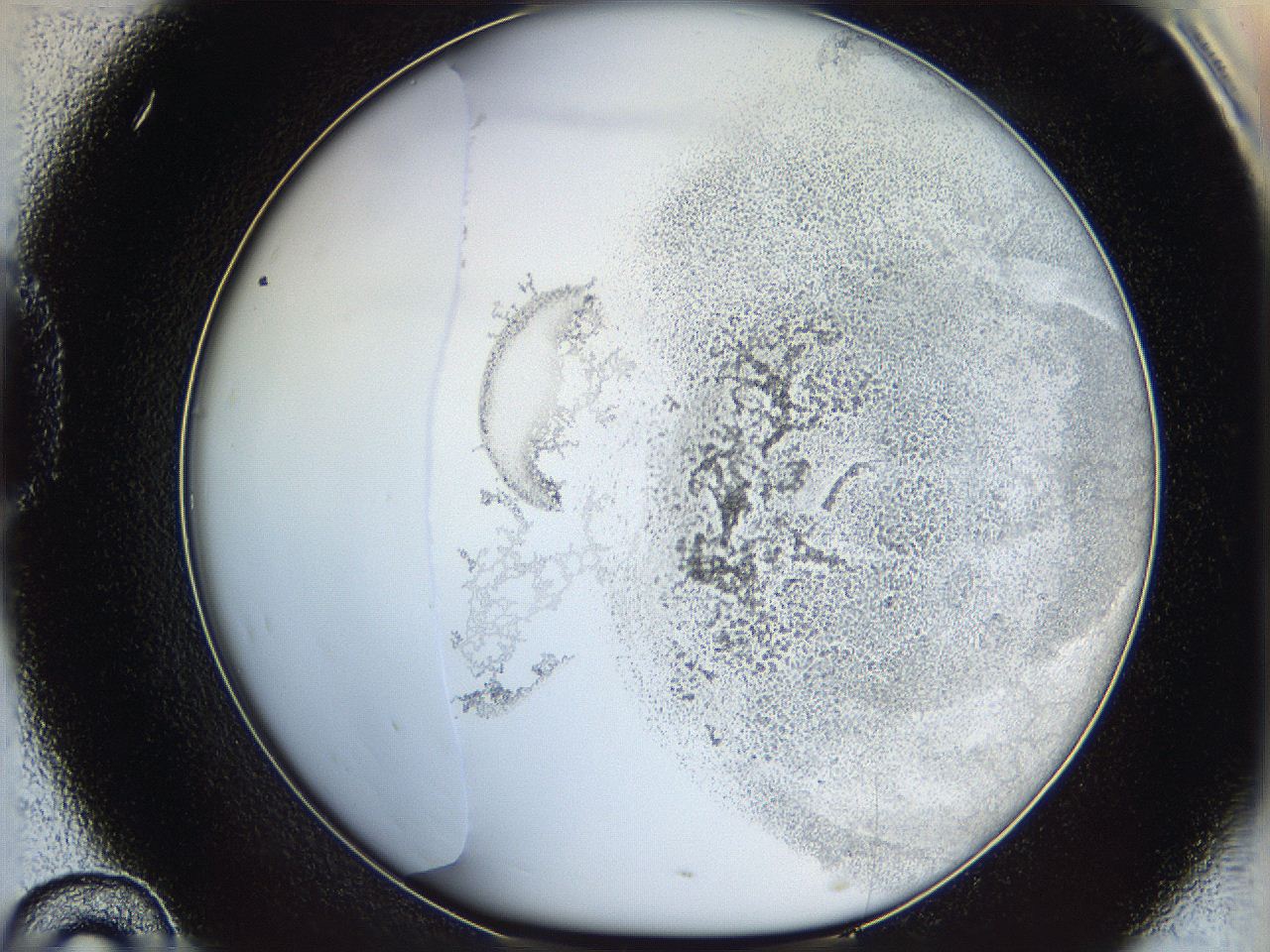 06bn_D10_ImagerDefaults_3.jpg