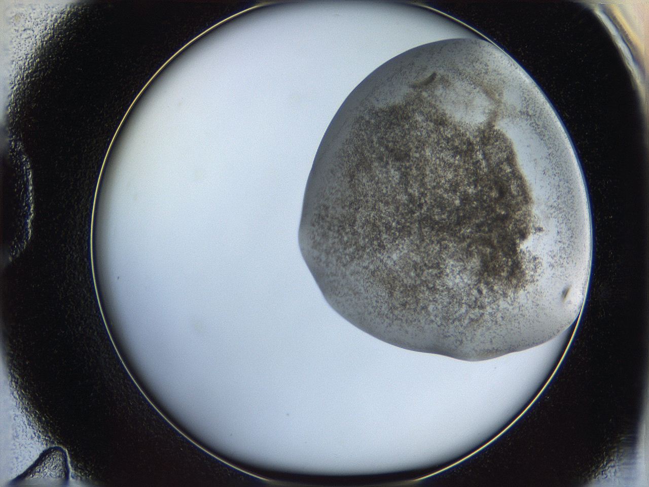 06bn_D11_ImagerDefaults_3.jpg