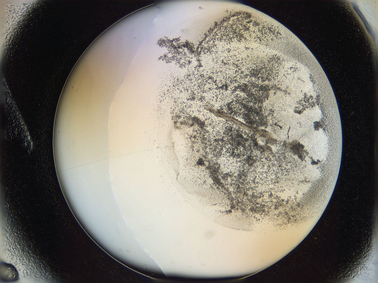 06bn_A6_ImagerDefaults_3.jpg