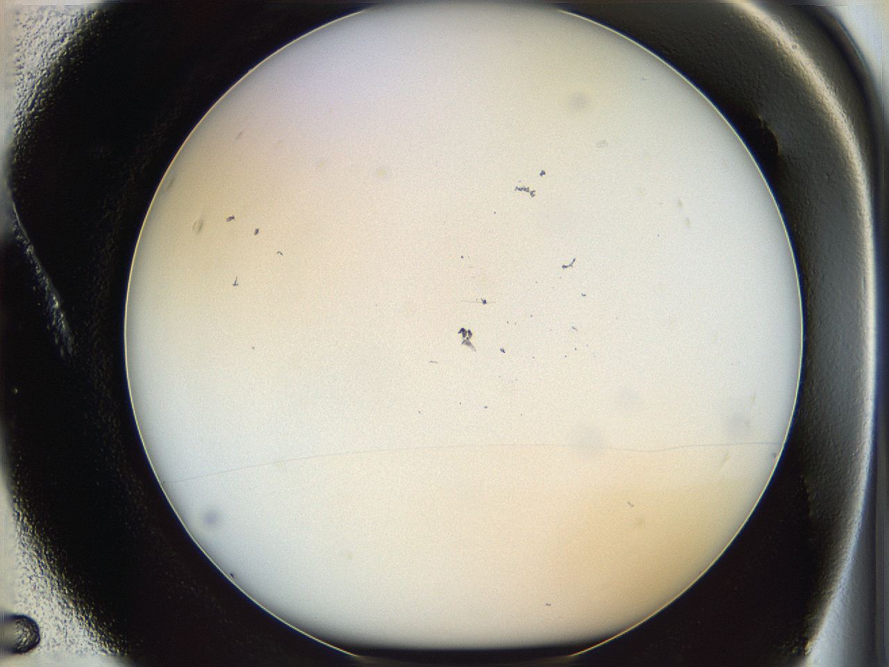06bn_A5_ImagerDefaults_0.jpg