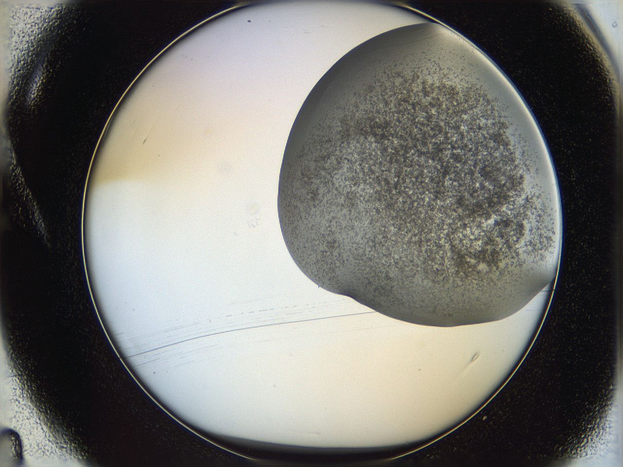 06bn_A4_ImagerDefaults_3.jpg