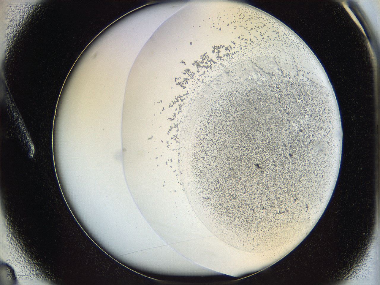 06bn_A3_ImagerDefaults_2.jpg