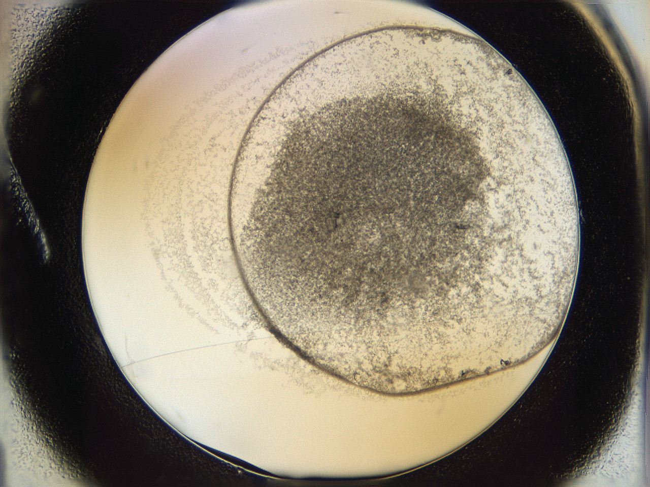 06bn_A1_ImagerDefaults_2.jpg
