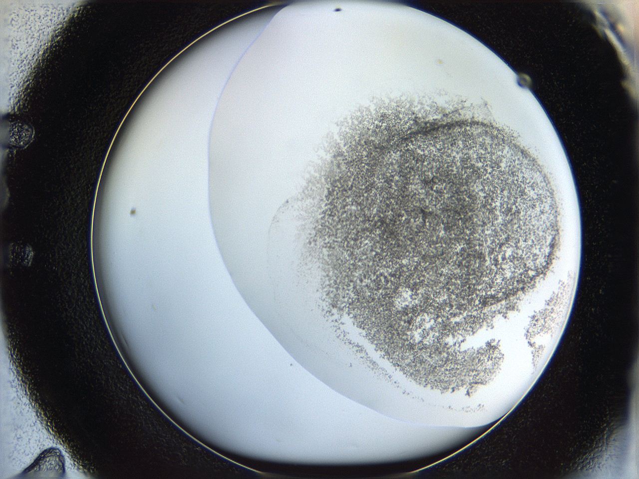 06bn_E11_ImagerDefaults_3.jpg