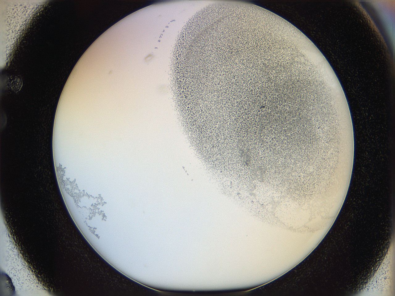 06bn_F3_ImagerDefaults_2.jpg