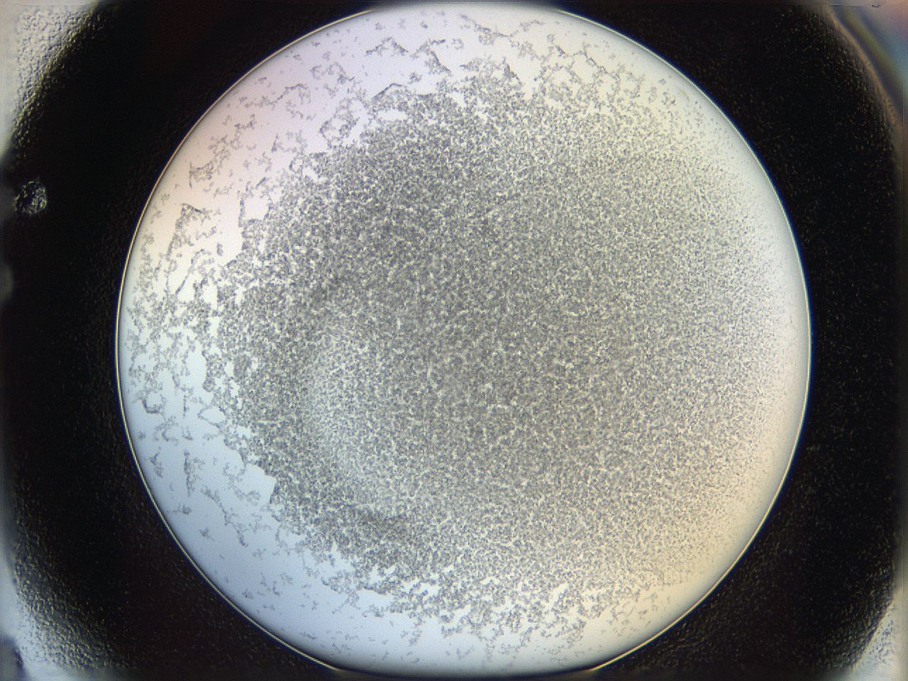 06bn_F4_ImagerDefaults_0.jpg