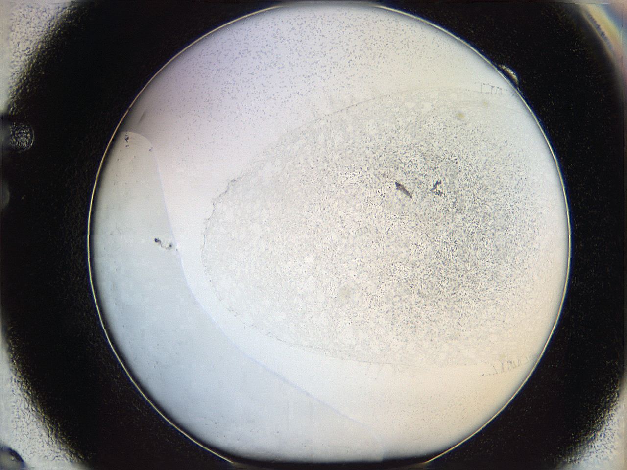 06bn_F9_ImagerDefaults_2.jpg