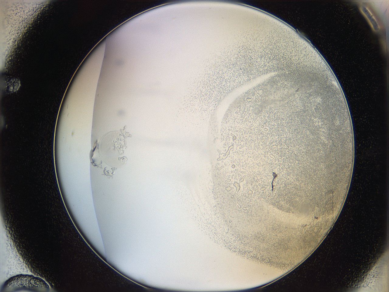 06bn_F10_ImagerDefaults_3.jpg