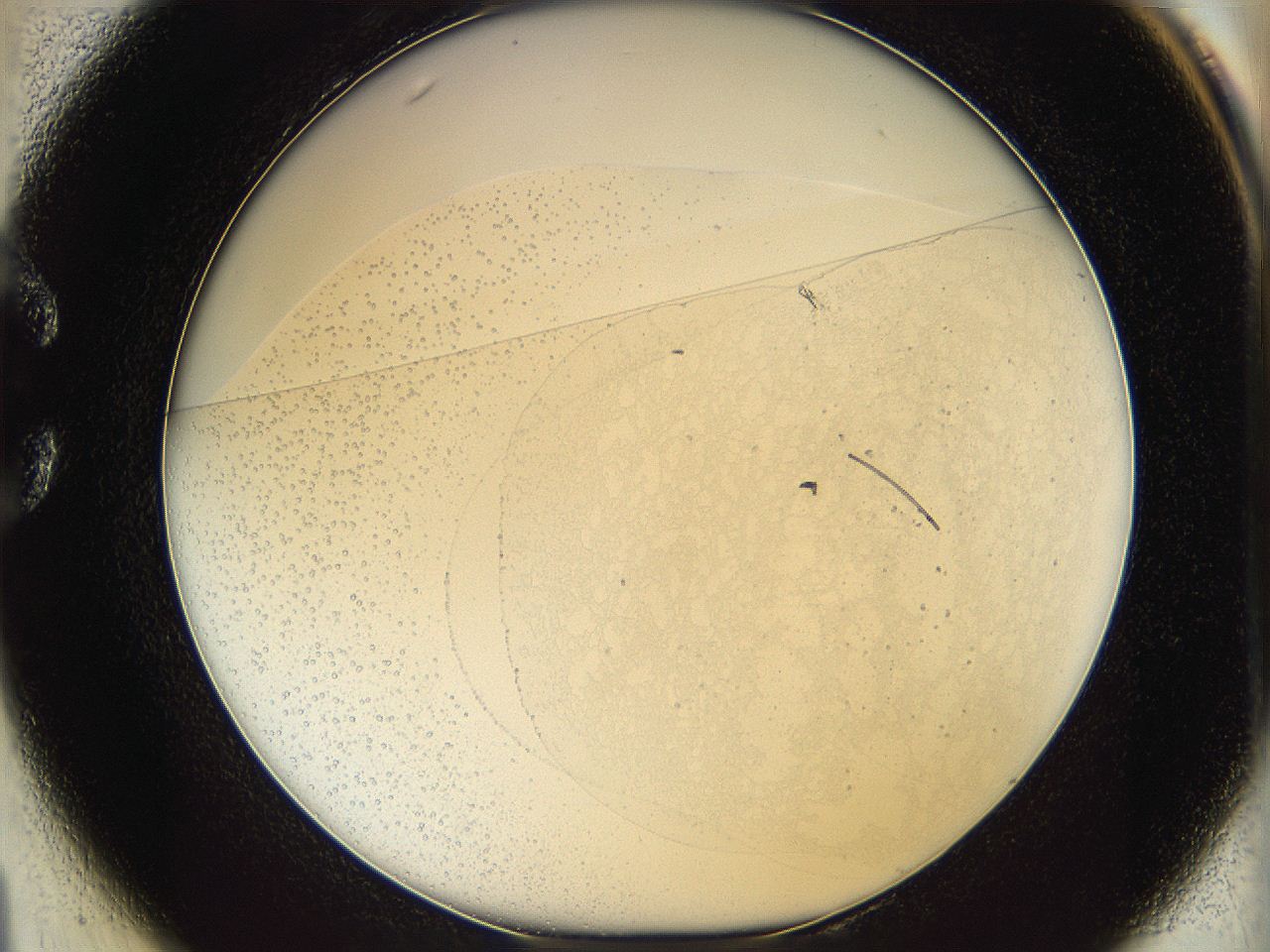 06bn_C1_ImagerDefaults_0.jpg
