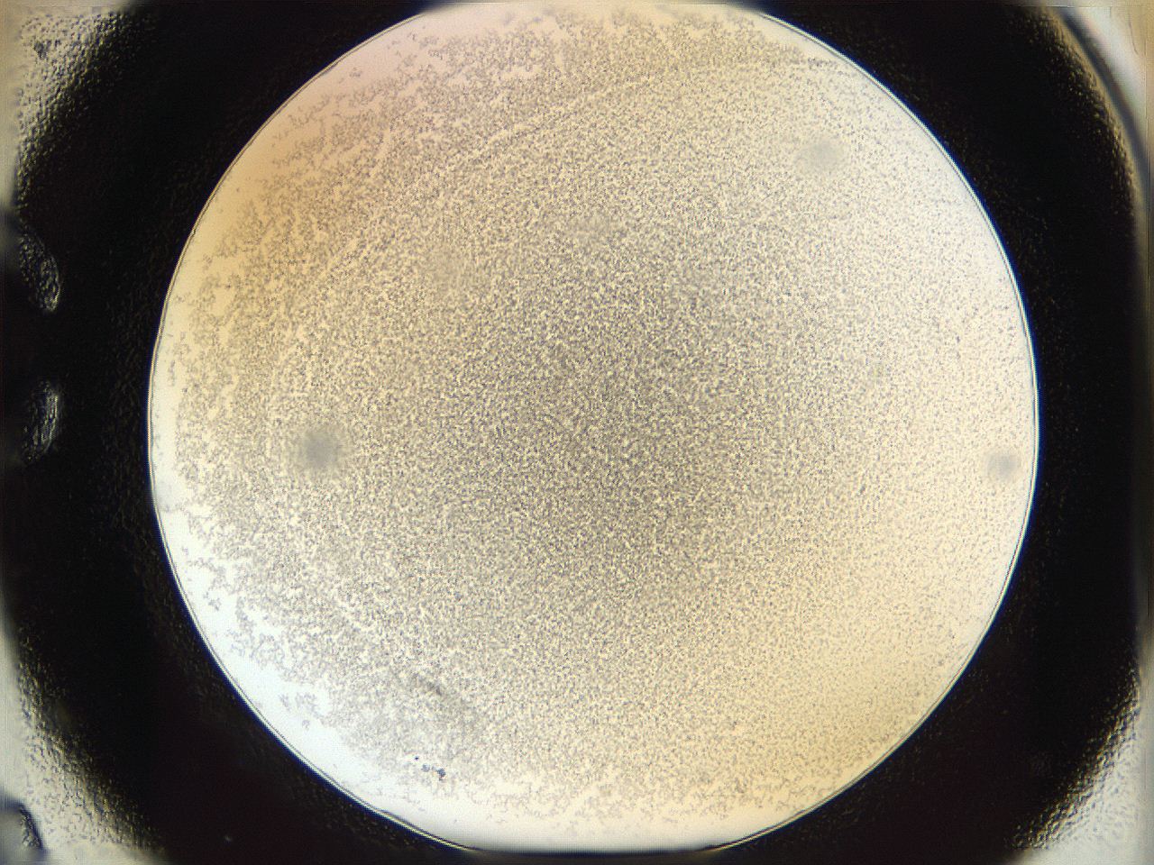 06bn_C2_ImagerDefaults_3.jpg