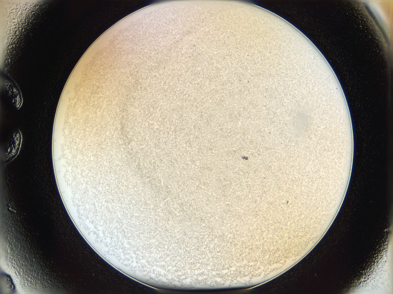 06bn_C3_ImagerDefaults_3.jpg