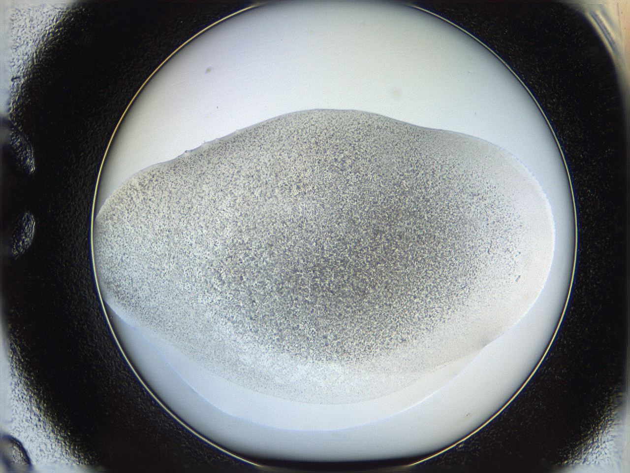 06bn_C9_ImagerDefaults_3.jpg
