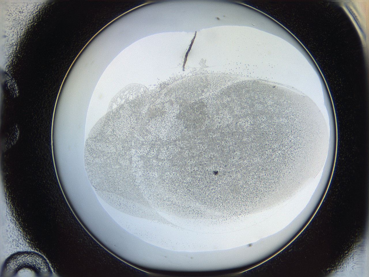 06bn_C10_ImagerDefaults_3.jpg