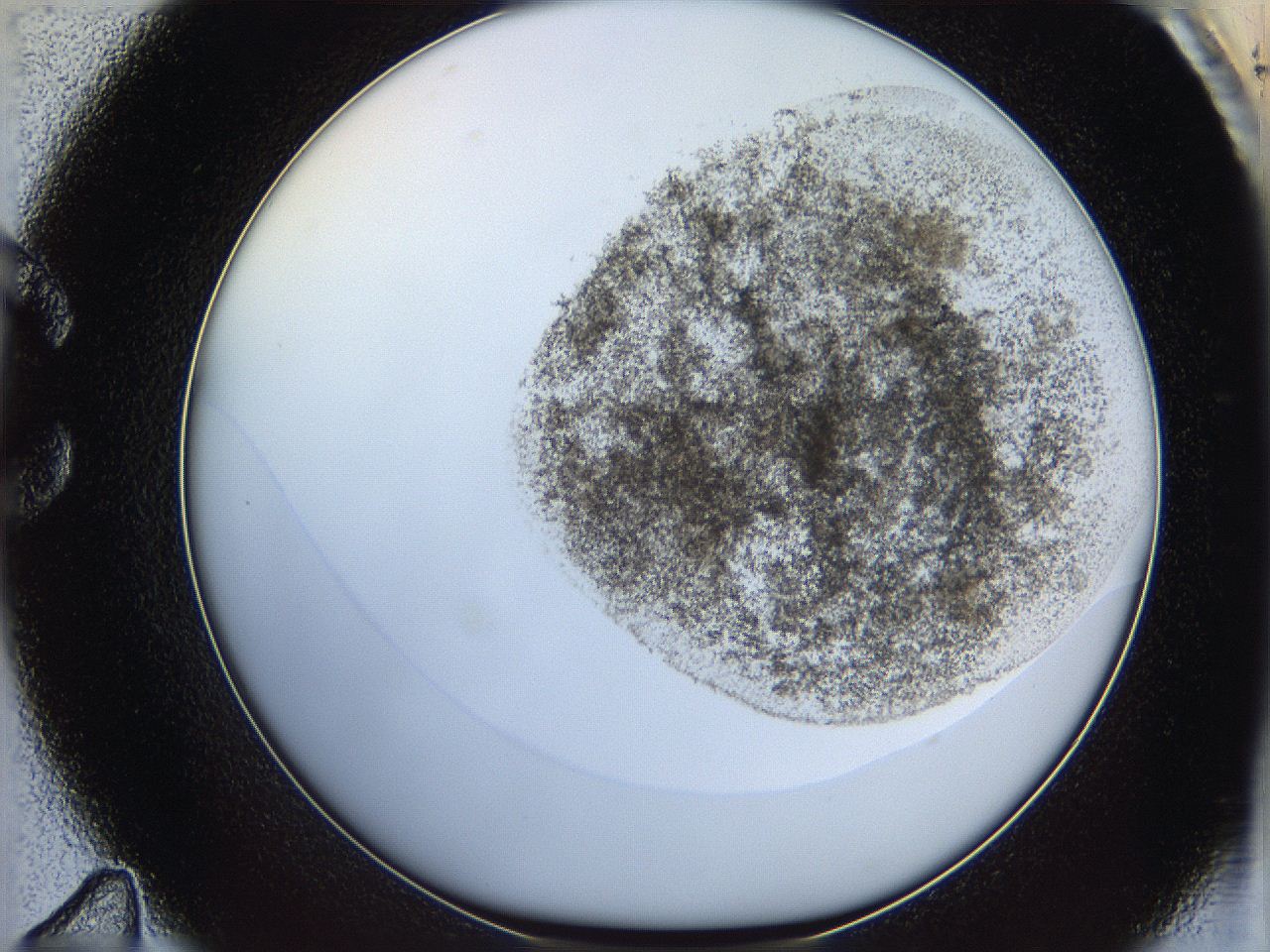 06bn_C11_ImagerDefaults_3.jpg