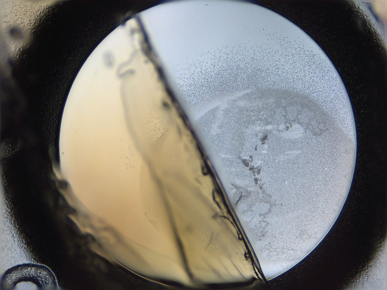 06bn_C12_ImagerDefaults_3.jpg