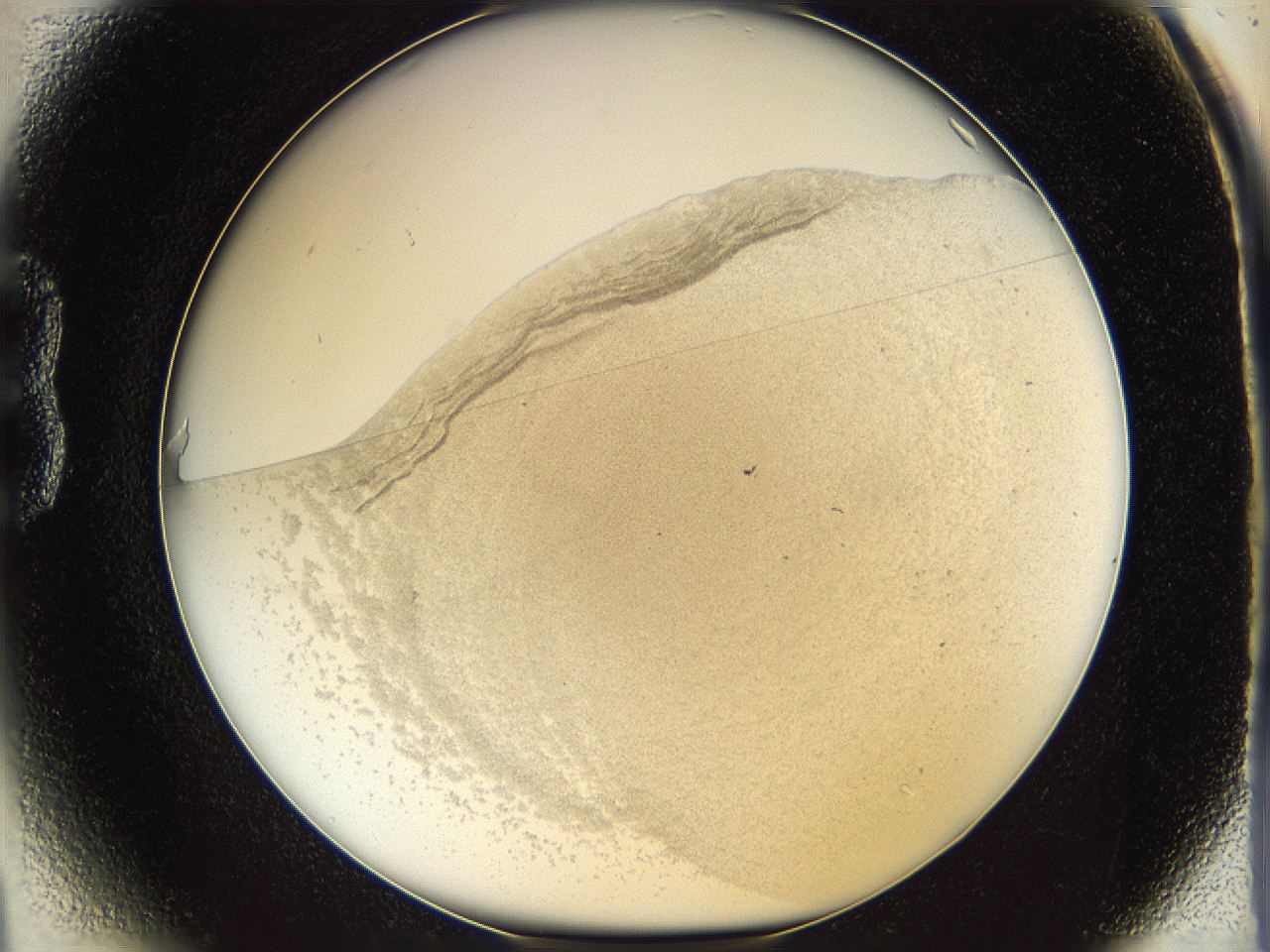 06bn_B1_ImagerDefaults_0.jpg