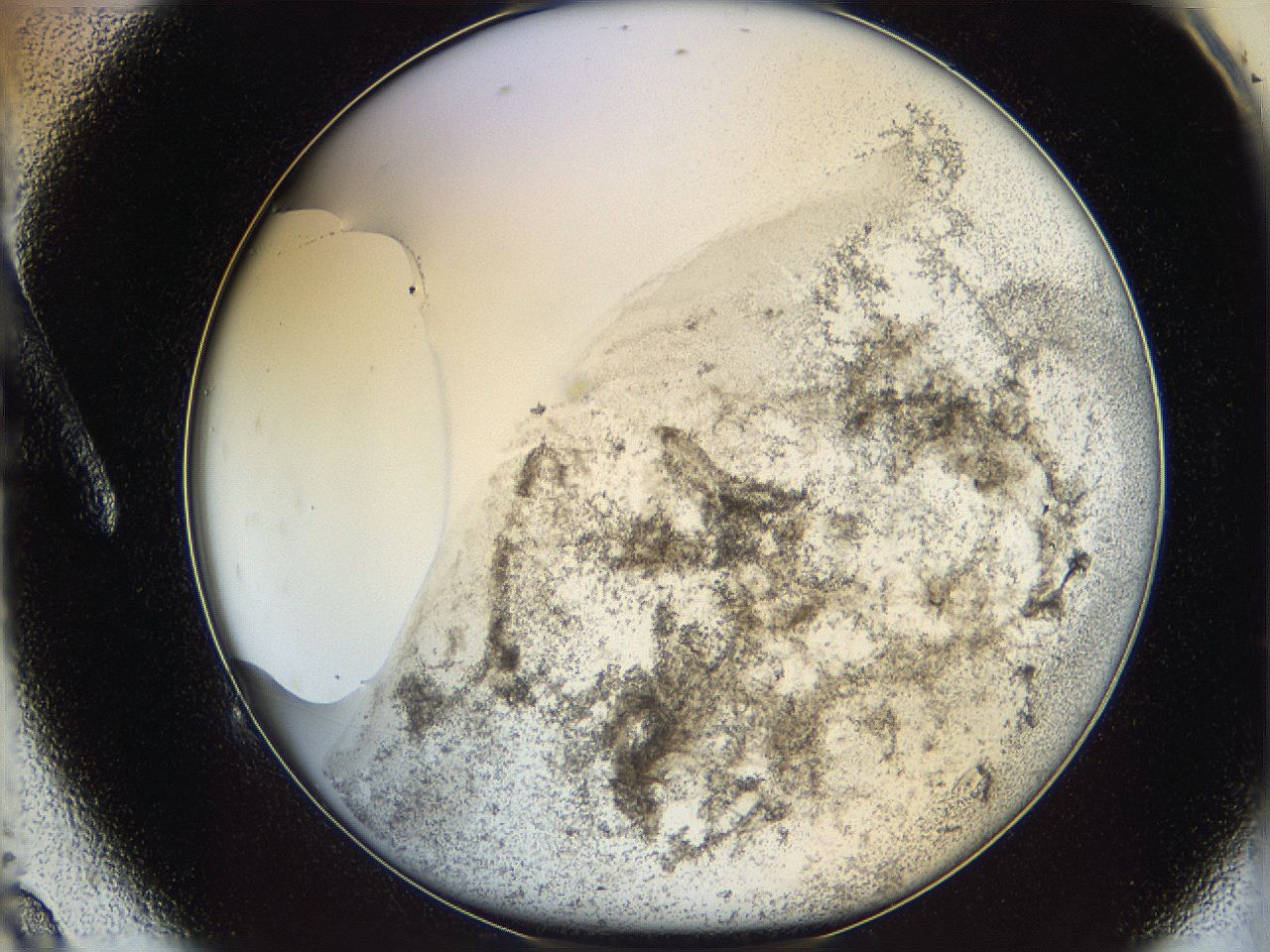 06bn_A9_ImagerDefaults_3.jpg