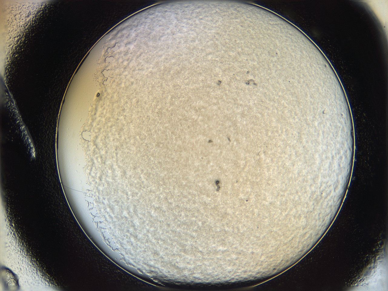 06bn_A8_ImagerDefaults_3.jpg