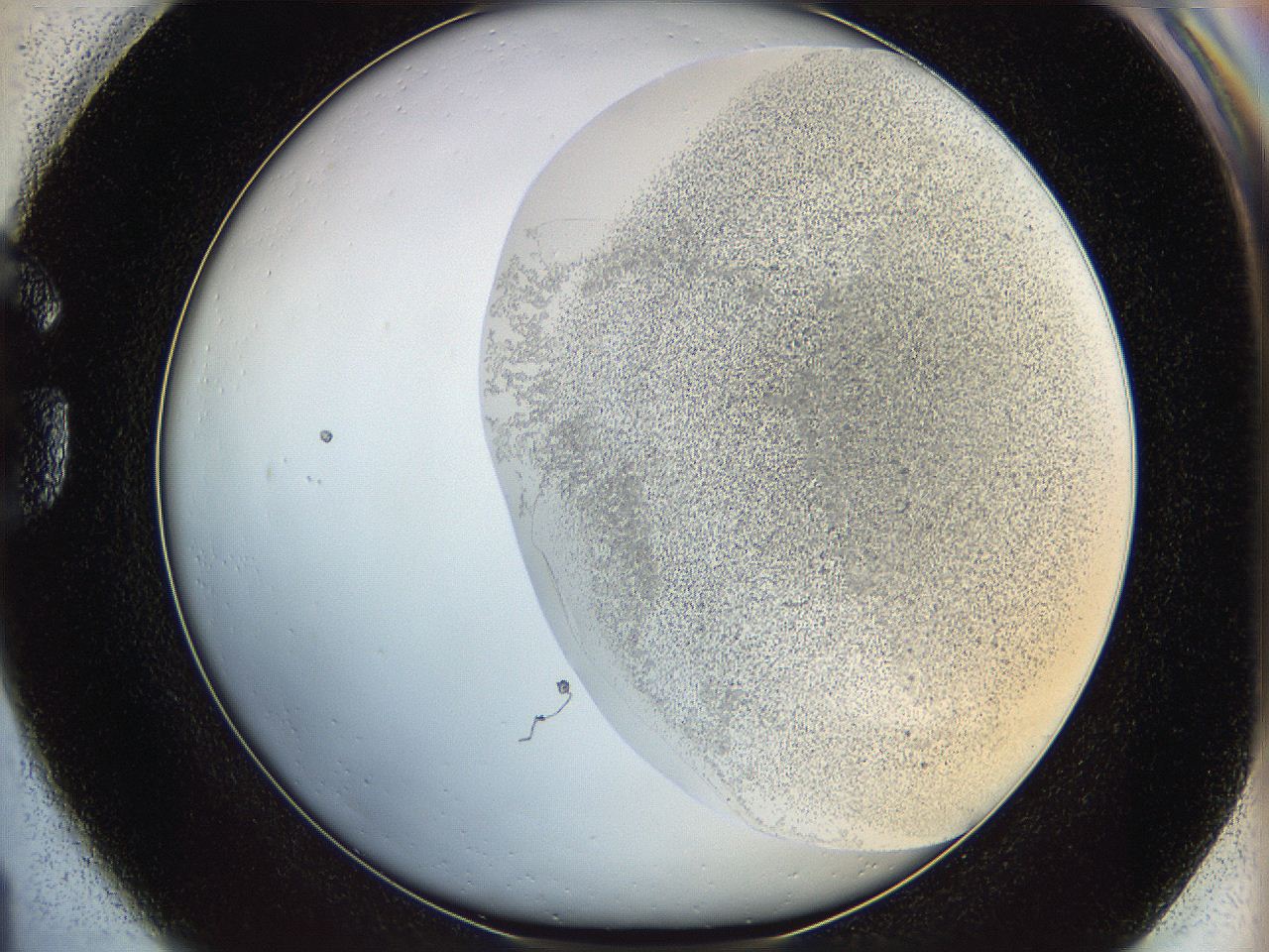06bn_G1_ImagerDefaults_3.jpg