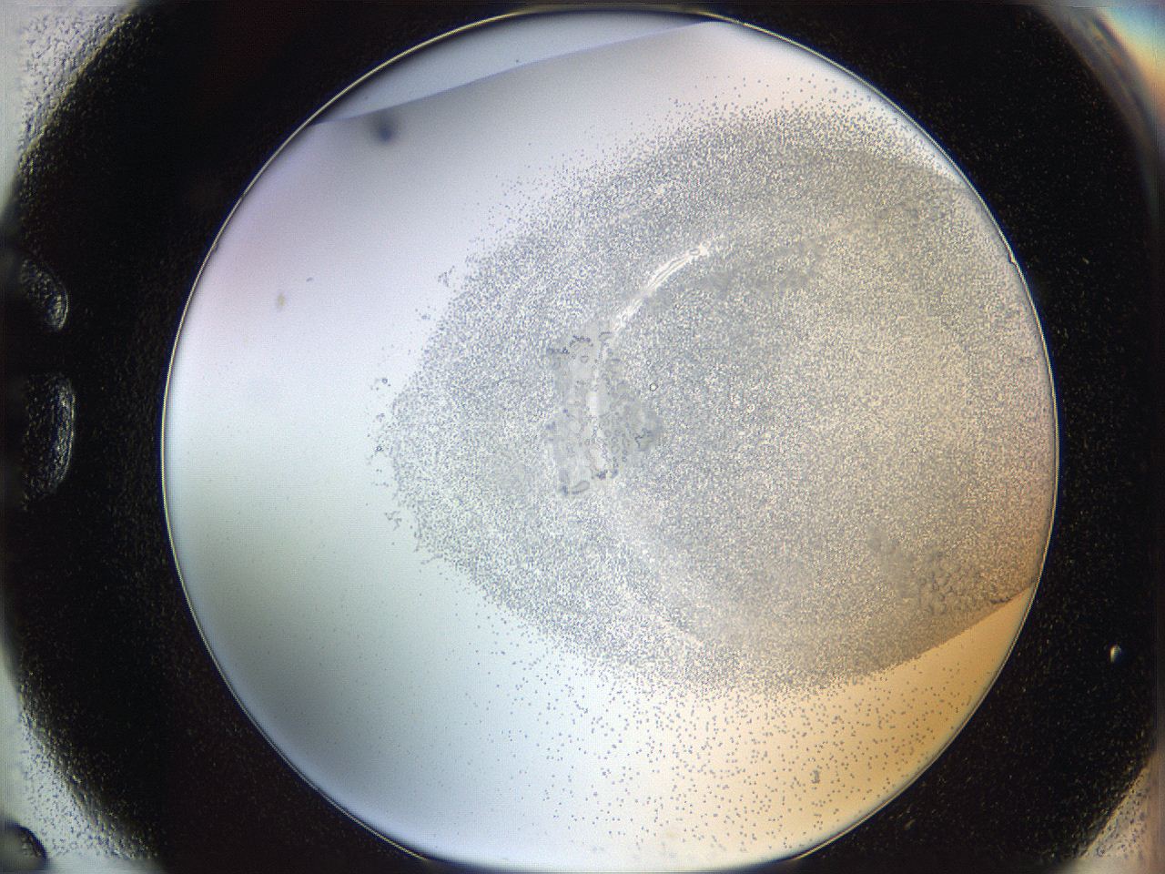 06bn_G6_ImagerDefaults_3.jpg
