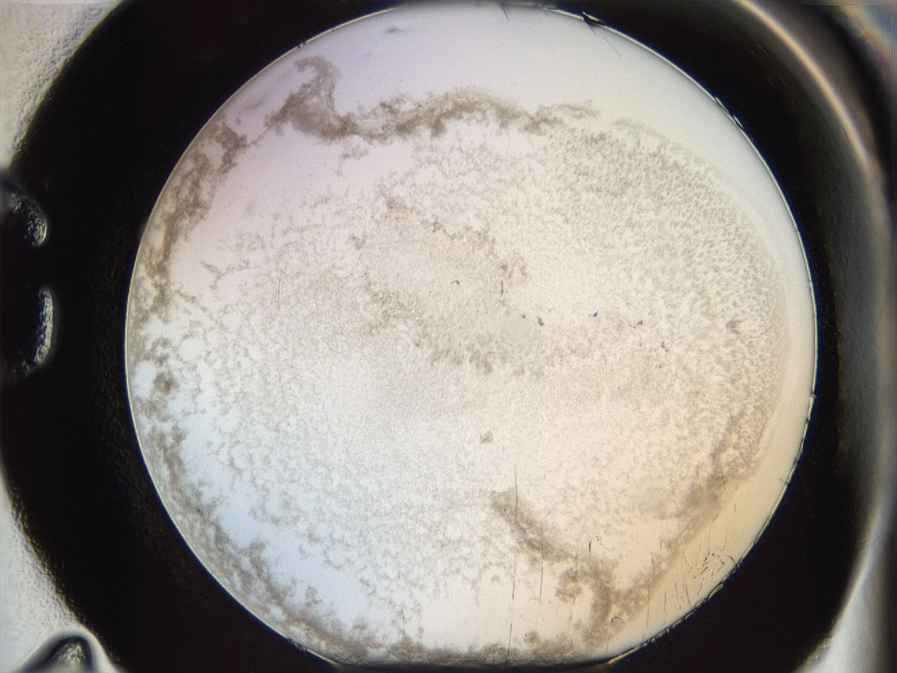 06bn_G11_ImagerDefaults_3.jpg
