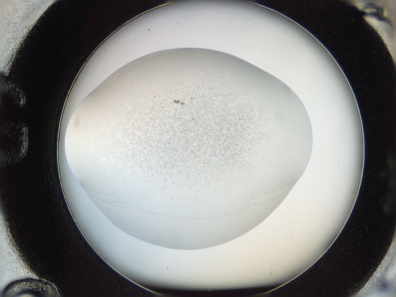 06bn_G12_ImagerDefaults_2.jpg