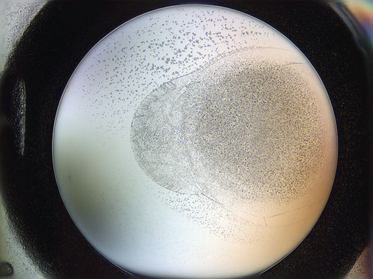 06bn_H5_ImagerDefaults_2.jpg