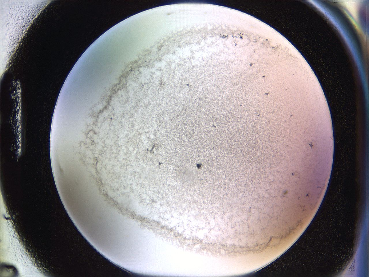 06bn_H7_ImagerDefaults_3.jpg