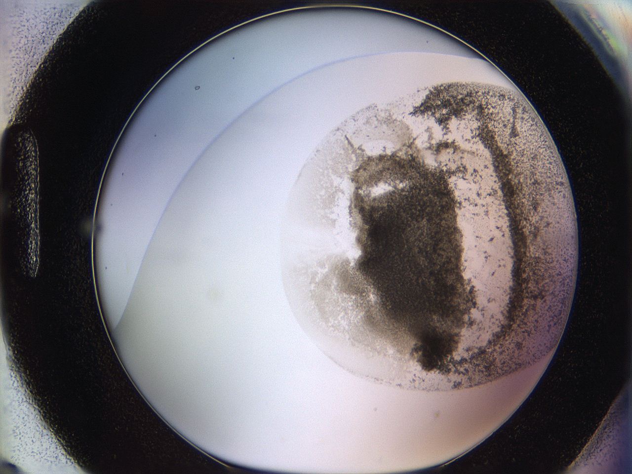 06bn_H9_ImagerDefaults_3.jpg