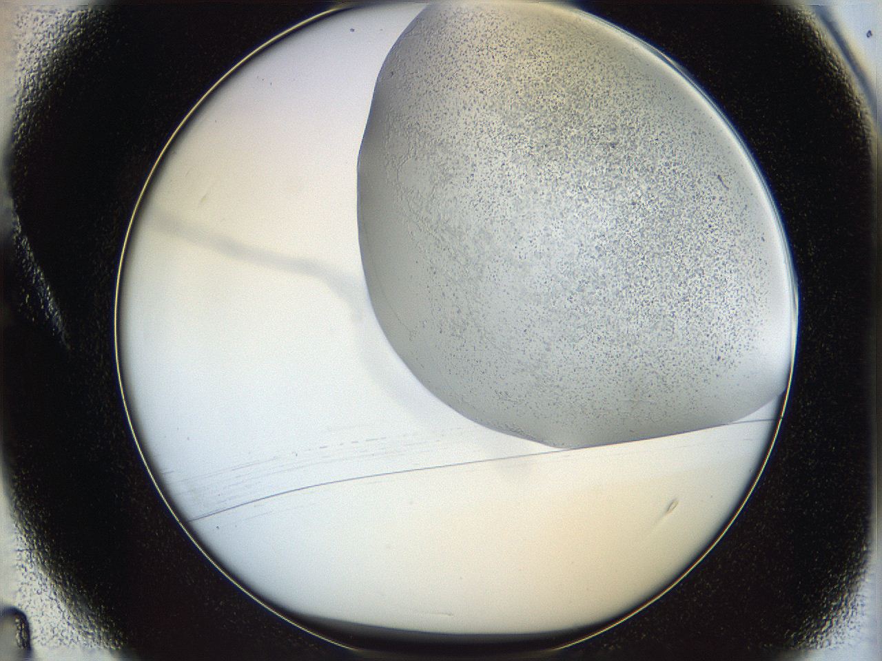 06bo_A4_ImagerDefaults_5.jpg