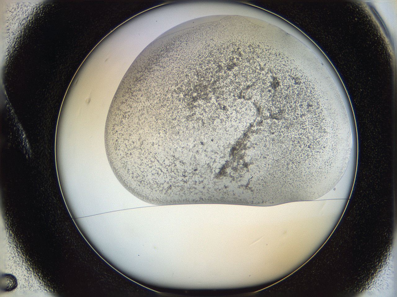 06bo_A5_ImagerDefaults_3.jpg