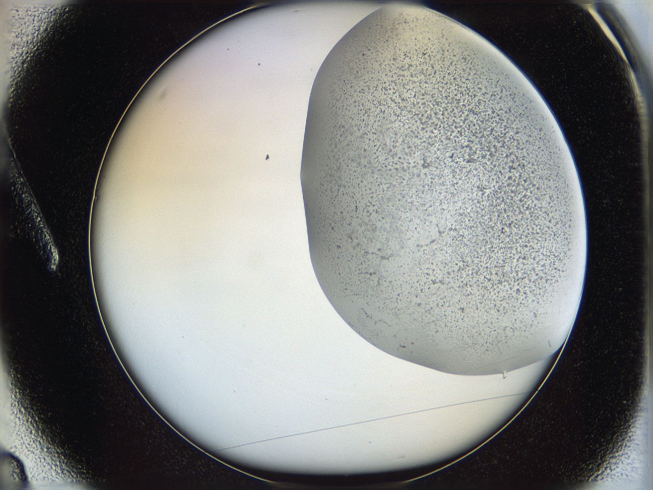 06bo_A3_ImagerDefaults_2.jpg