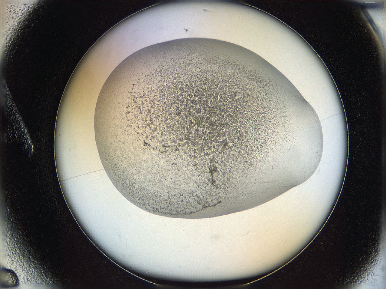 06bo_A6_ImagerDefaults_3.jpg