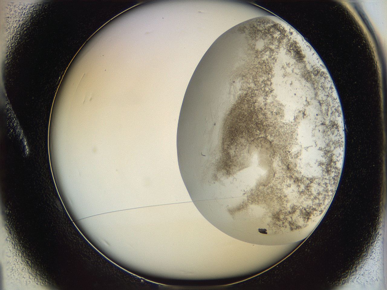 06bo_A1_ImagerDefaults_3.jpg