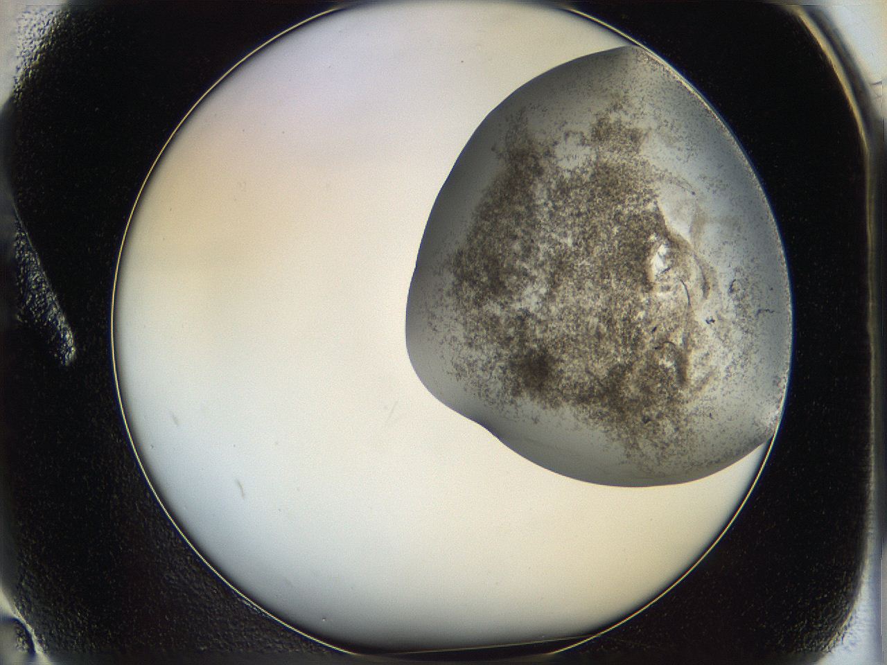 06bo_A2_ImagerDefaults_3.jpg