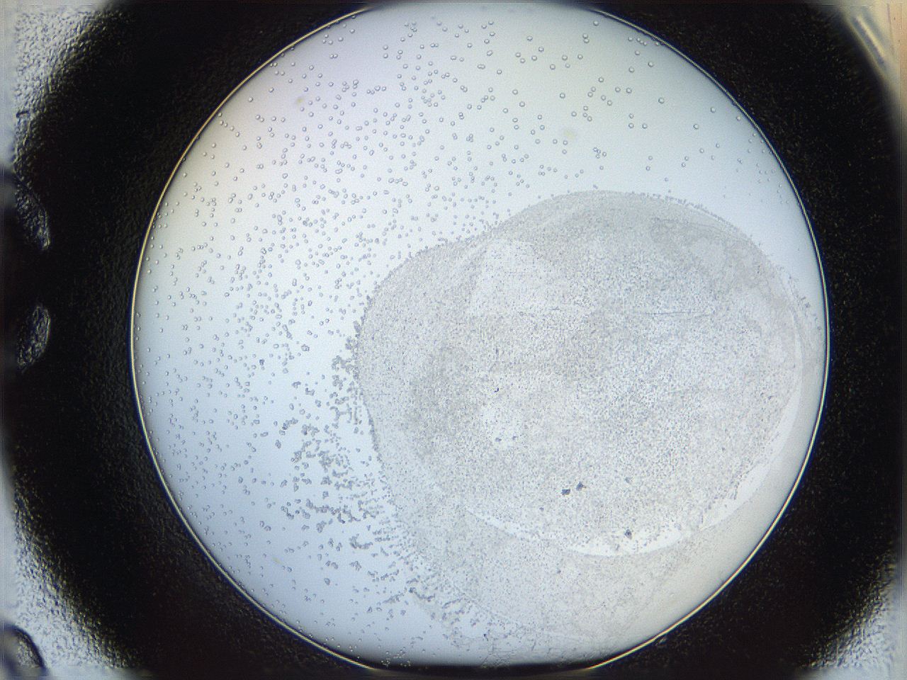 06bo_C9_ImagerDefaults_5.jpg