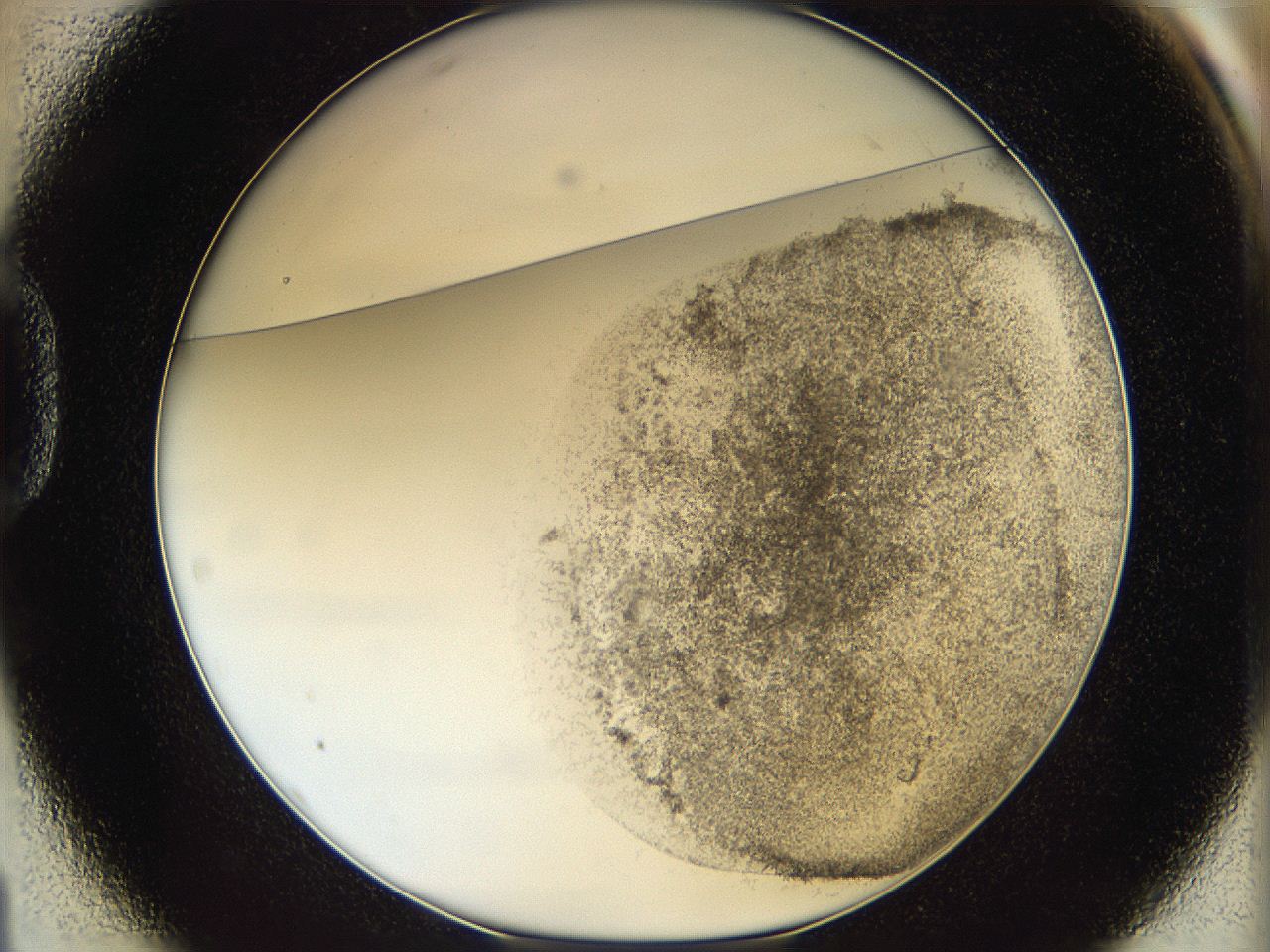 06bo_D1_ImagerDefaults_3.jpg