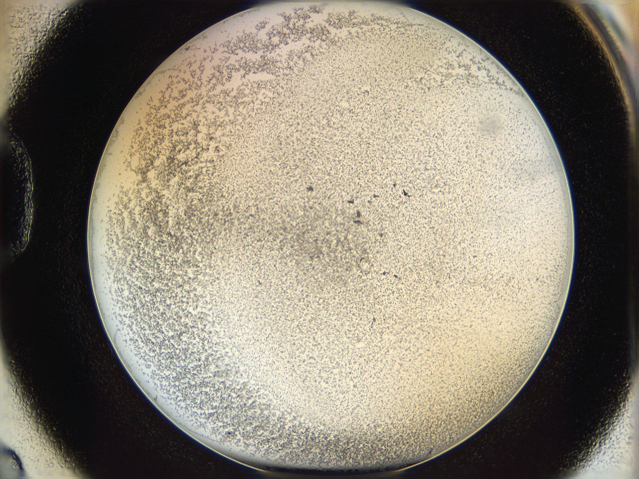 06bo_D2_ImagerDefaults_3.jpg