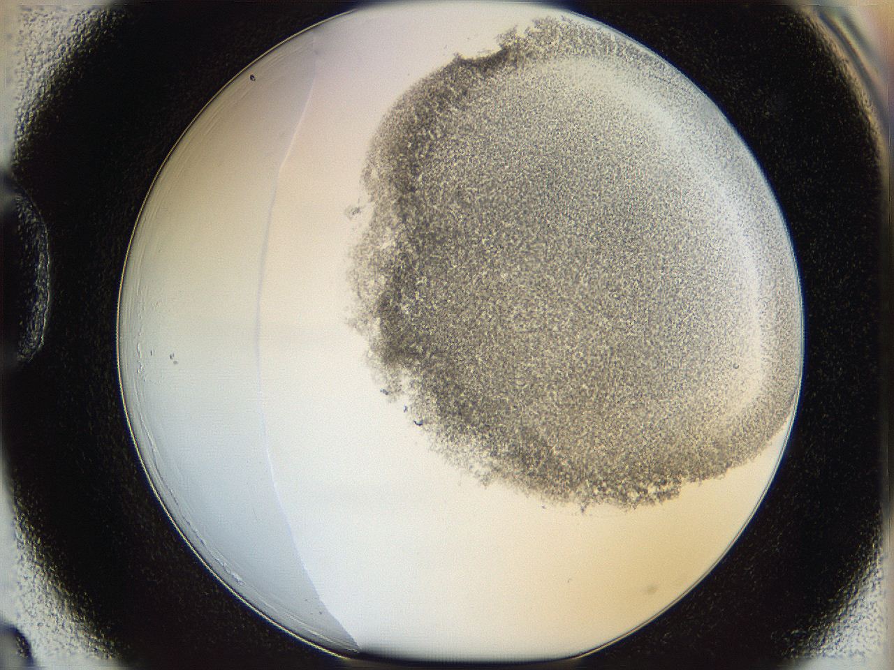 06bo_D3_ImagerDefaults_3.jpg