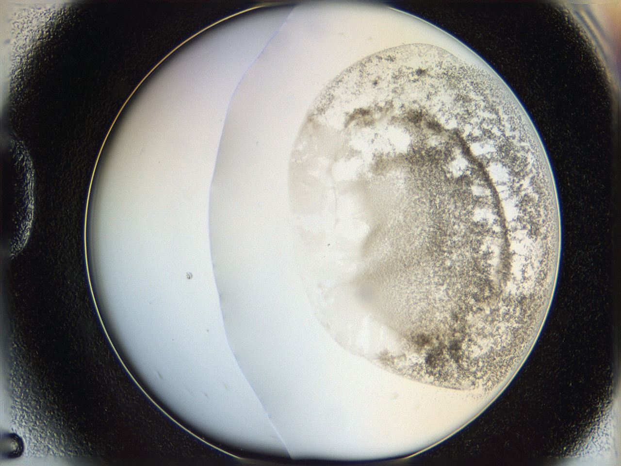 06bo_D5_ImagerDefaults_3.jpg