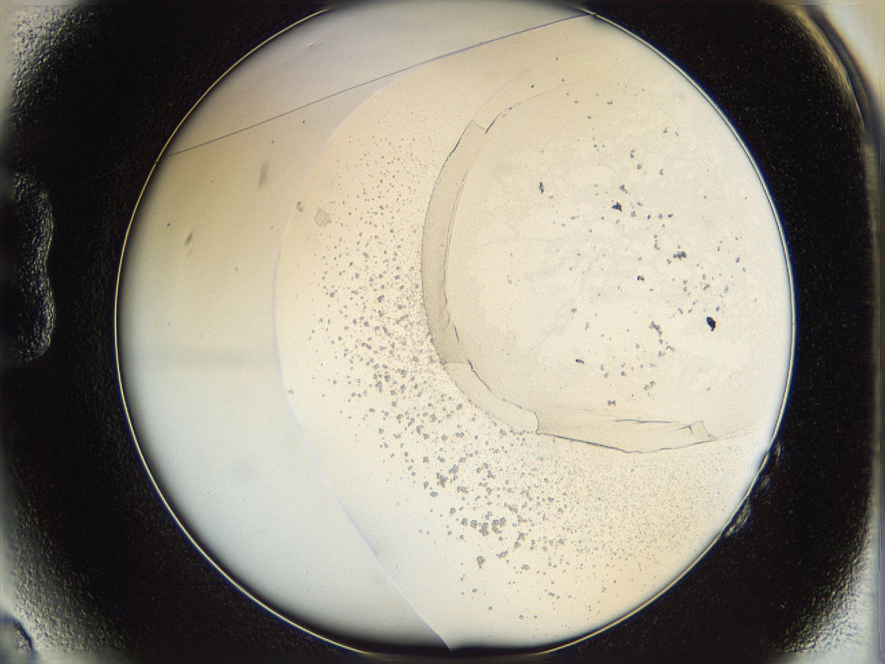 06bo_B2_ImagerDefaults_1.jpg