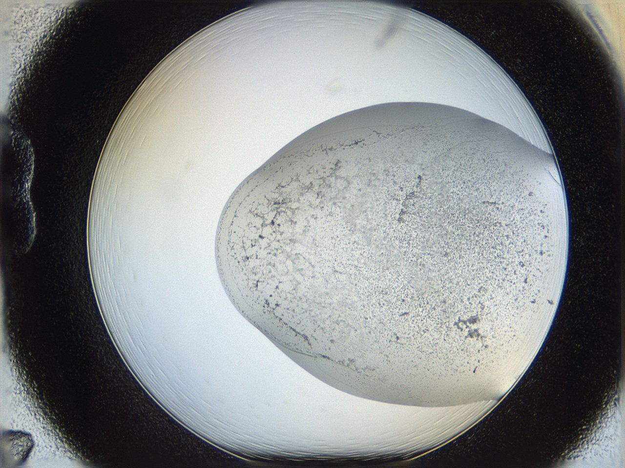 06bo_B7_ImagerDefaults_3.jpg