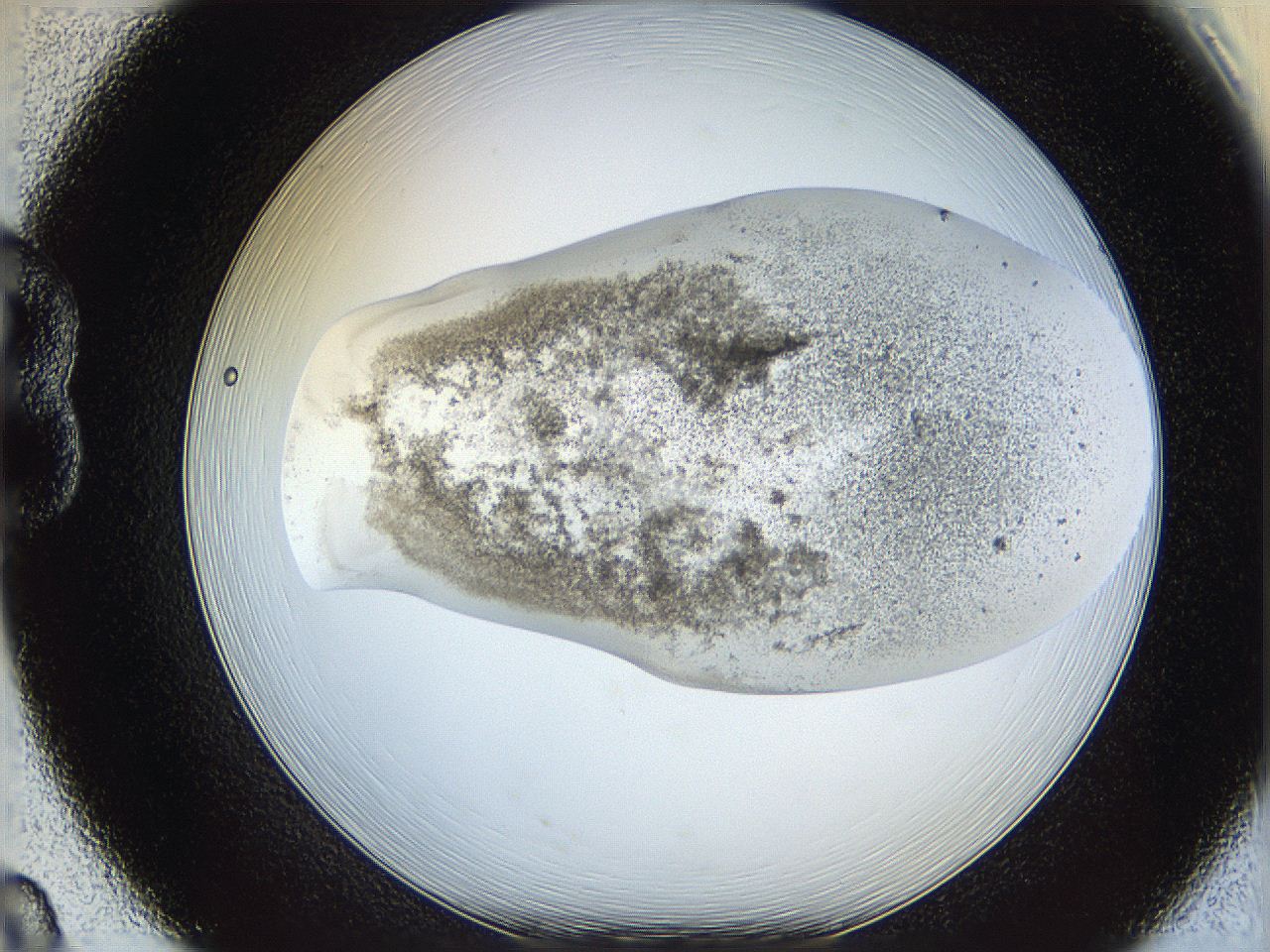 06bo_B8_ImagerDefaults_3.jpg