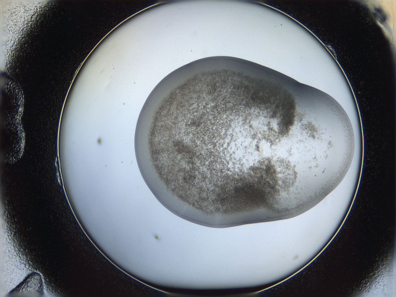 06bo_B11_ImagerDefaults_3.jpg