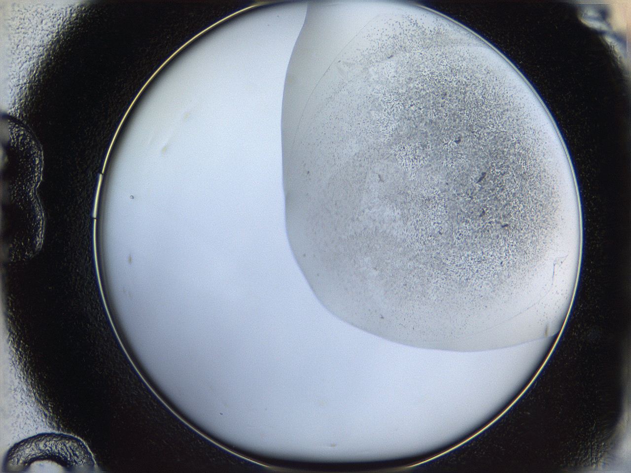 06bo_B12_ImagerDefaults_5.jpg