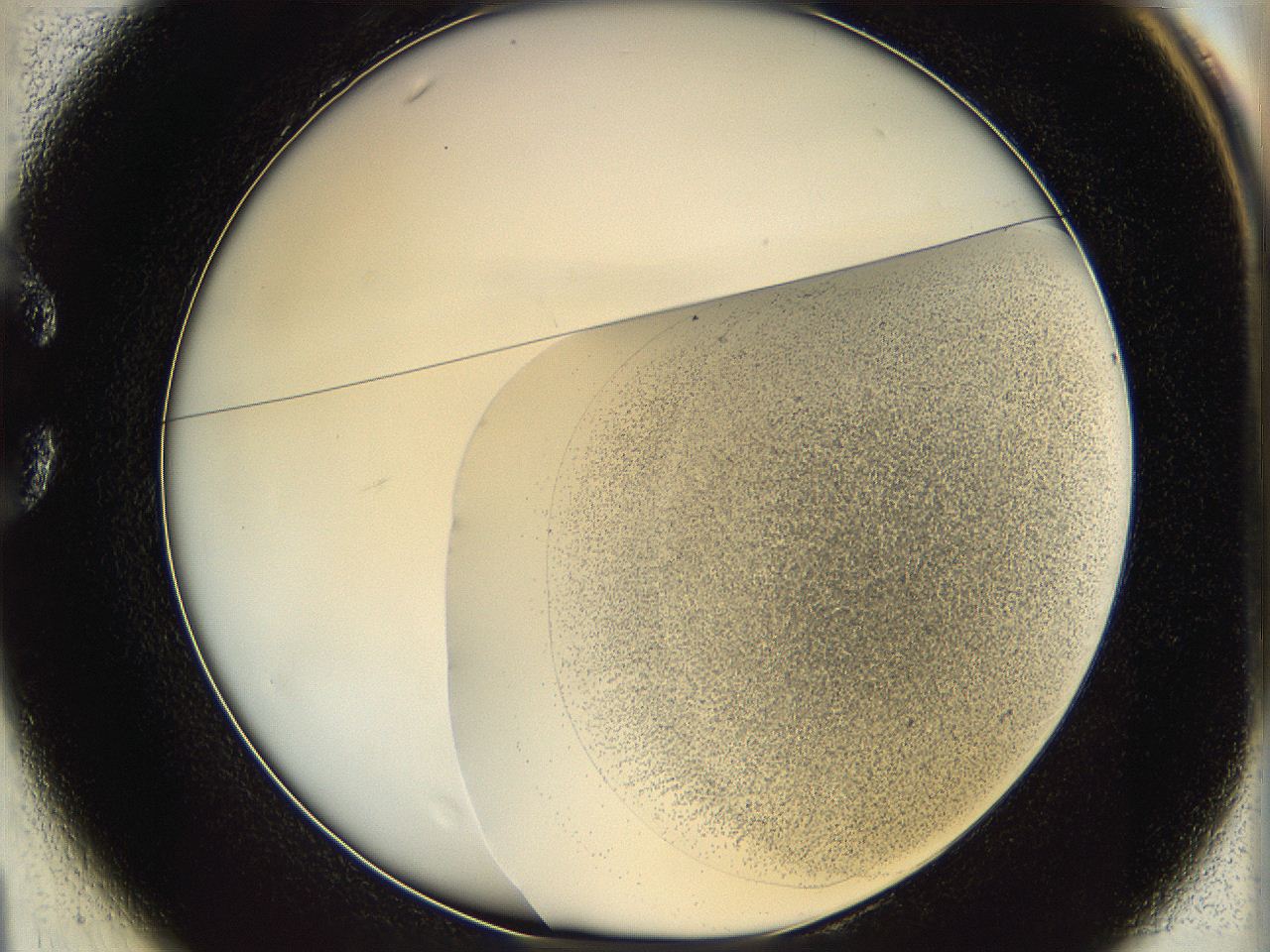 06bo_C1_ImagerDefaults_5.jpg