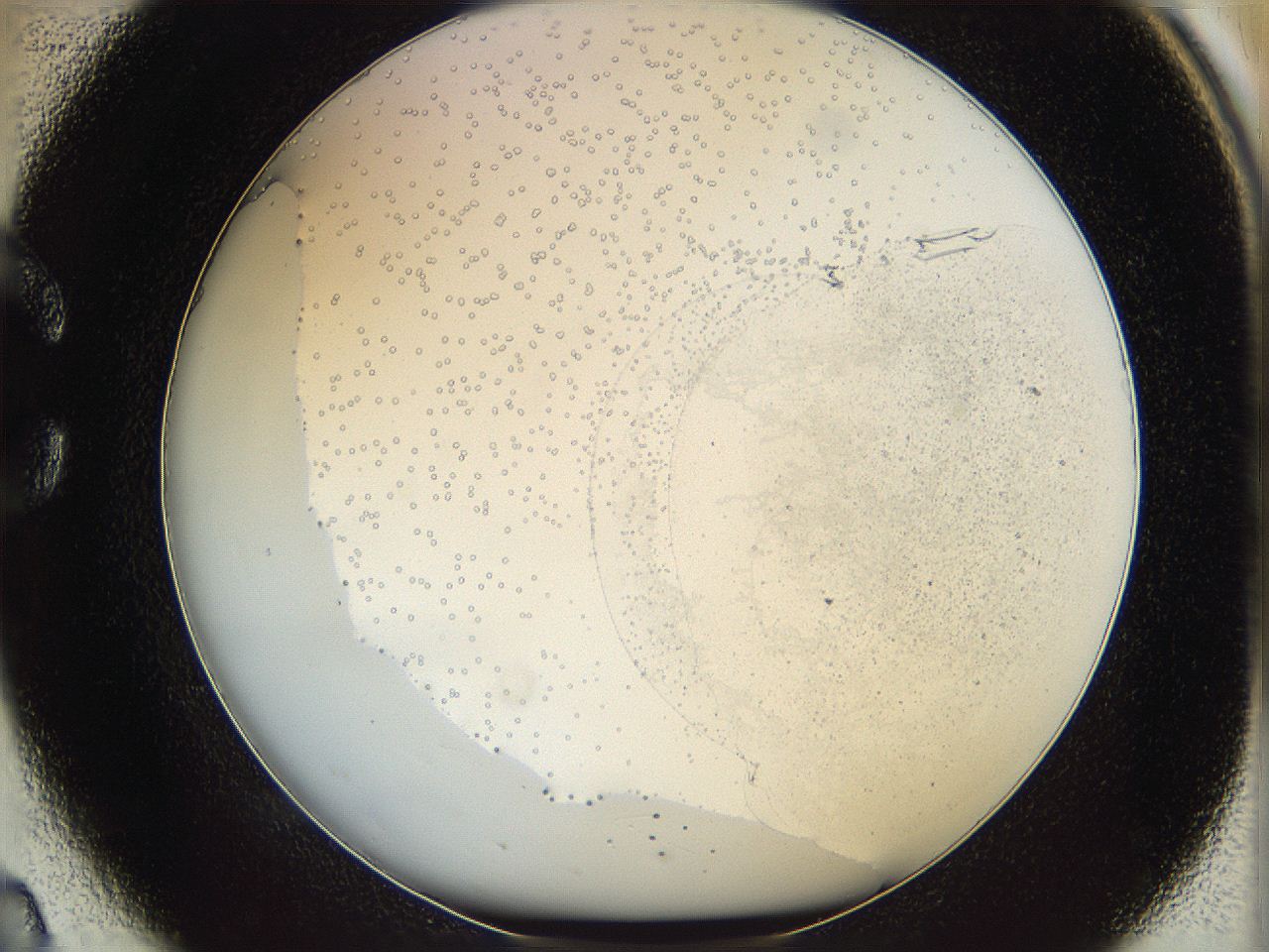 06bo_C2_ImagerDefaults_0.jpg