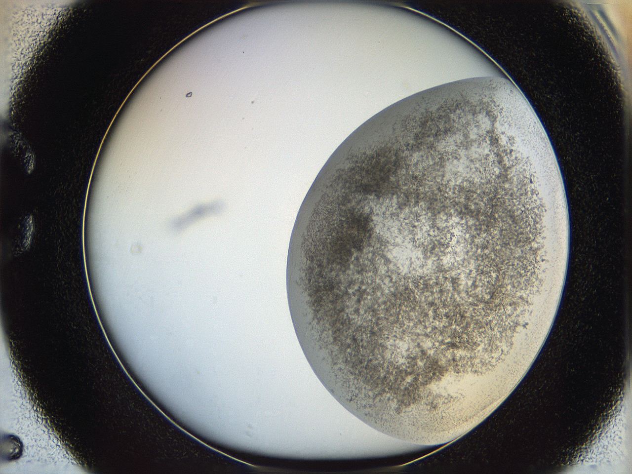 06bo_C5_ImagerDefaults_3.jpg