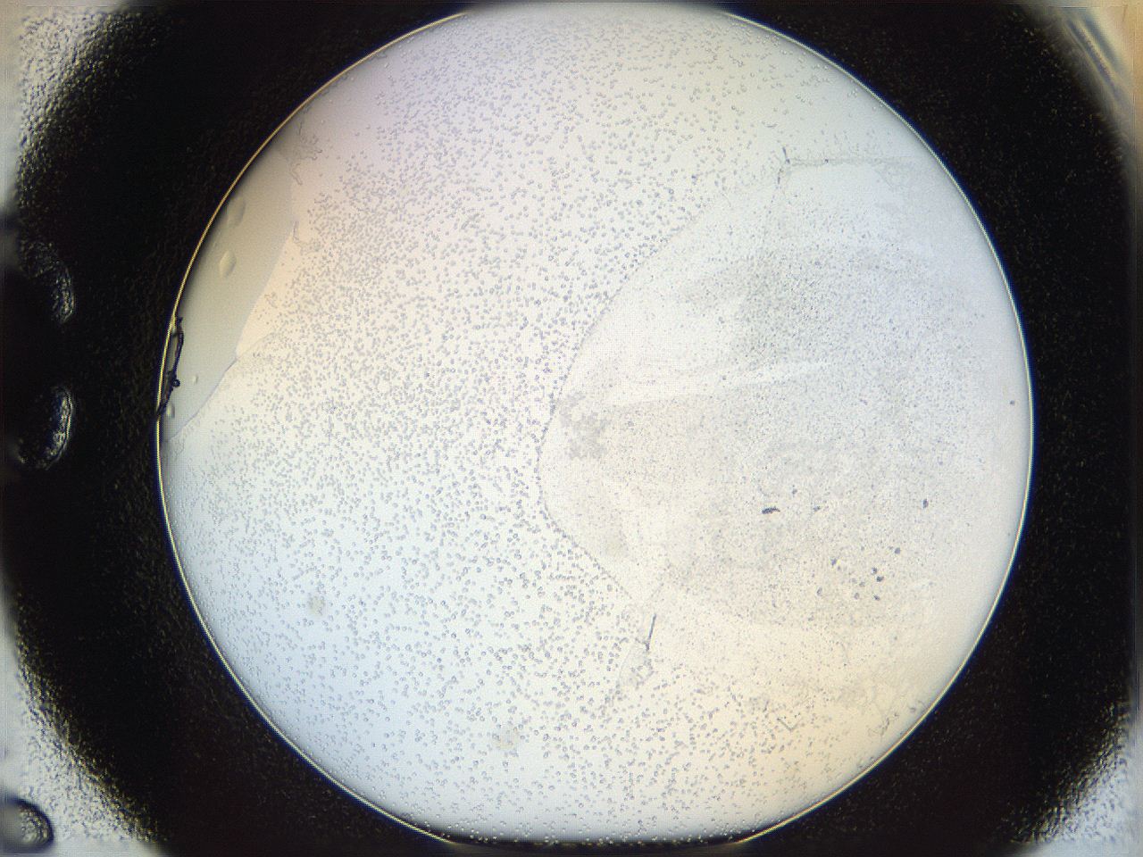 06bo_C6_ImagerDefaults_5.jpg
