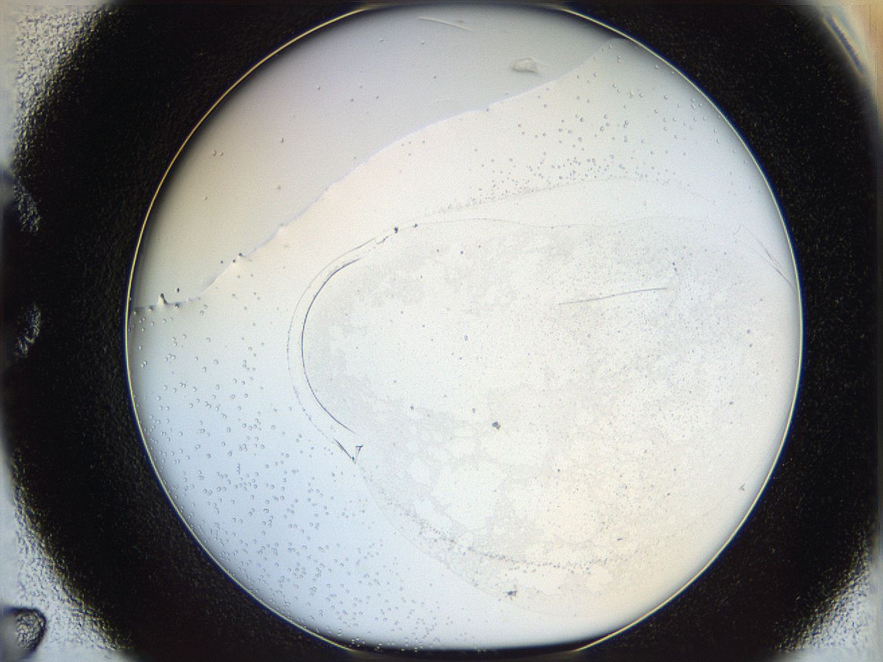 06bo_C7_ImagerDefaults_0.jpg